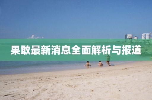 果敢最新消息全面解析與報(bào)道