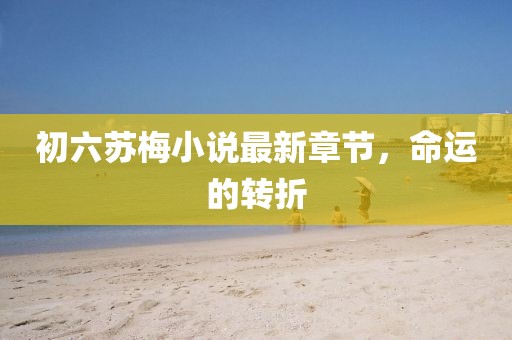 初六蘇梅小說(shuō)最新章節(jié)，命運(yùn)的轉(zhuǎn)折