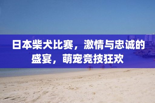 日本柴犬比賽，激情與忠誠的盛宴，萌寵競技狂歡