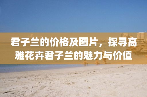君子蘭的價格及圖片，探尋高雅花卉君子蘭的魅力與價值
