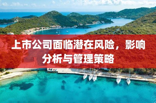 上市公司面臨潛在風險，影響分析與管理策略
