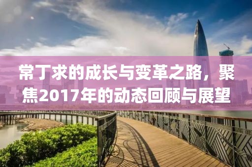 常丁求的成長(zhǎng)與變革之路，聚焦2017年的動(dòng)態(tài)回顧與展望