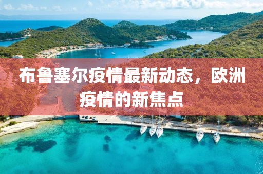 布魯塞爾疫情最新動態(tài)，歐洲疫情的新焦點