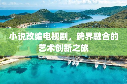 小說改編電視劇，跨界融合的藝術(shù)創(chuàng)新之旅
