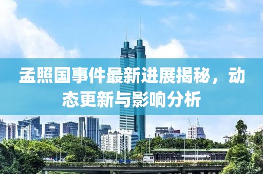 孟照國事件最新進(jìn)展揭秘，動(dòng)態(tài)更新與影響分析