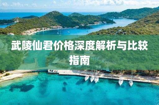 武陵仙君價格深度解析與比較指南