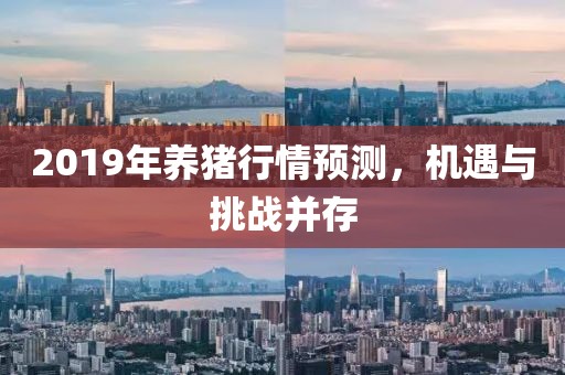 2019年養(yǎng)豬行情預(yù)測(cè)，機(jī)遇與挑戰(zhàn)并存