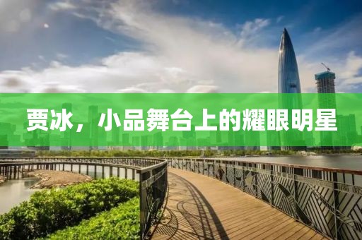 賈冰，小品舞臺上的耀眼明星