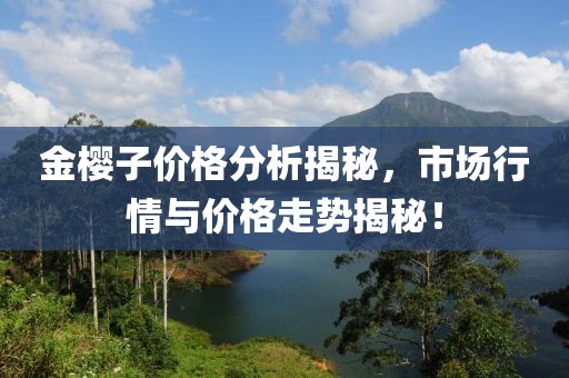 金櫻子價(jià)格分析揭秘，市場(chǎng)行情與價(jià)格走勢(shì)揭秘！