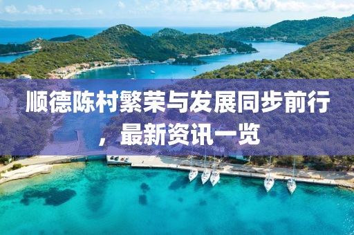 順德陳村繁榮與發(fā)展同步前行，最新資訊一覽