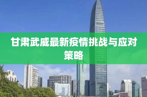 甘肅武威最新疫情挑戰(zhàn)與應(yīng)對(duì)策略