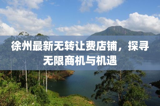 徐州最新無轉讓費店鋪，探尋無限商機與機遇