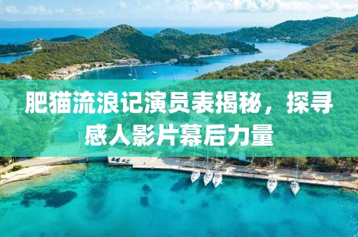 肥貓流浪記演員表揭秘，探尋感人影片幕后力量