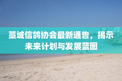 藁城信鴿協(xié)會(huì)最新通告，揭示未來(lái)計(jì)劃與發(fā)展藍(lán)圖