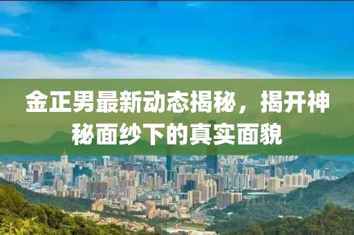 金正男最新動(dòng)態(tài)揭秘，揭開神秘面紗下的真實(shí)面貌