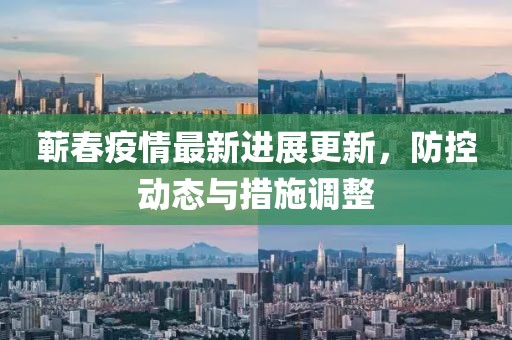 蘄春疫情最新進展更新，防控動態(tài)與措施調(diào)整