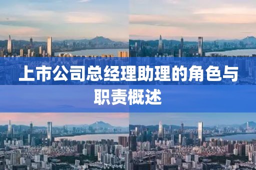 上市公司總經(jīng)理助理的角色與職責概述