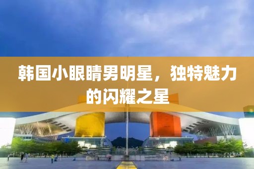 韓國小眼睛男明星，獨(dú)特魅力的閃耀之星