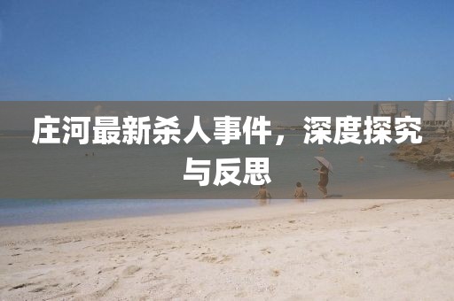 莊河最新殺人事件，深度探究與反思