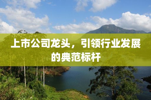 上市公司龍頭，引領(lǐng)行業(yè)發(fā)展的典范標(biāo)桿