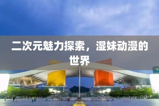 二次元魅力探索，濕妹動(dòng)漫的世界