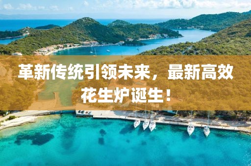 革新傳統(tǒng)引領(lǐng)未來，最新高效花生爐誕生！