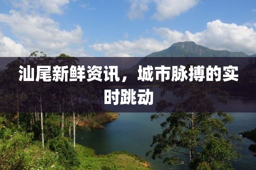 汕尾新鮮資訊，城市脈搏的實(shí)時(shí)跳動(dòng)