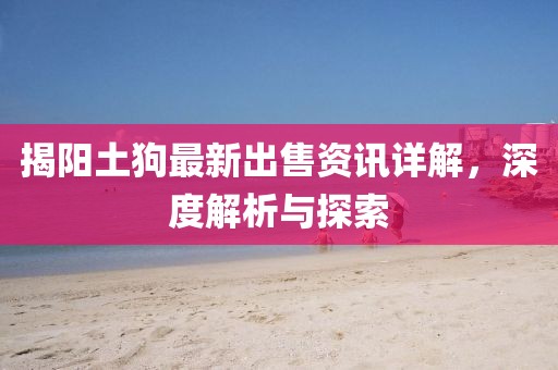 揭陽土狗最新出售資訊詳解，深度解析與探索