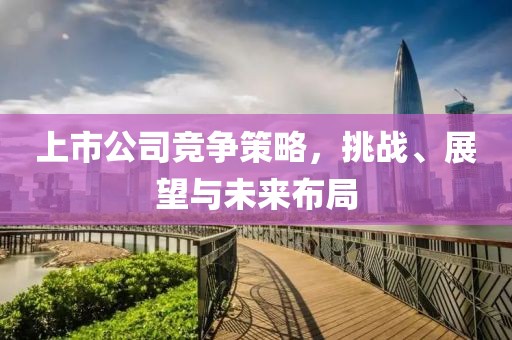 上市公司競爭策略，挑戰(zhàn)、展望與未來布局
