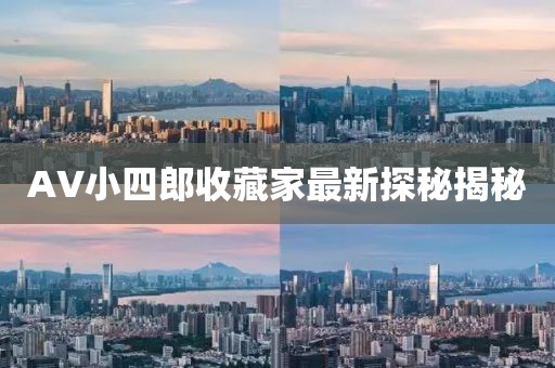 AV小四郎收藏家最新探秘揭秘