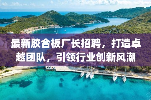 最新膠合板廠長招聘，打造卓越團隊，引領(lǐng)行業(yè)創(chuàng)新風(fēng)潮