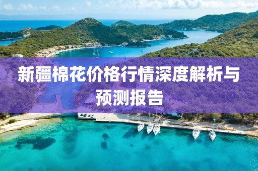 新疆棉花價(jià)格行情深度解析與預(yù)測(cè)報(bào)告
