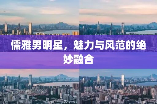 儒雅男明星，魅力與風范的絕妙融合