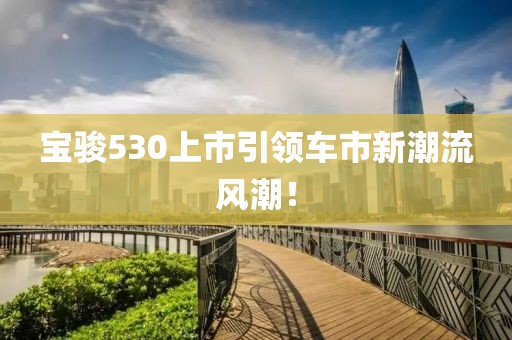 寶駿530上市引領車市新潮流風潮！