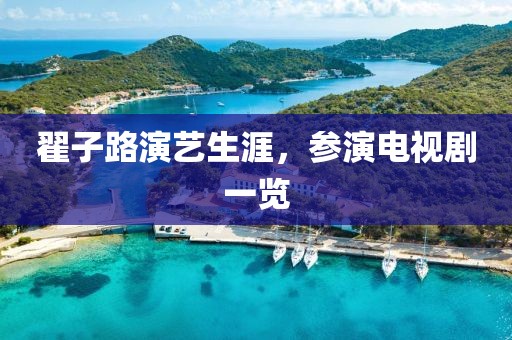 翟子路演藝生涯，參演電視劇一覽