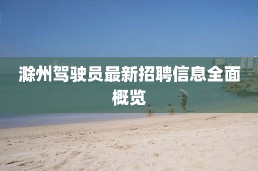 滁州駕駛員最新招聘信息全面概覽