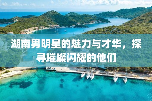湖南男明星的魅力與才華，探尋璀璨閃耀的他們