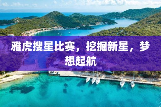 雅虎搜星比賽，挖掘新星，夢(mèng)想起航