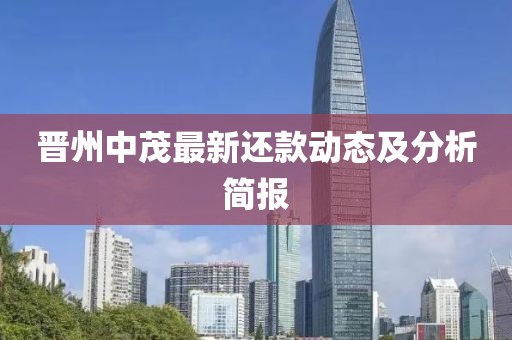 晉州中茂最新還款動(dòng)態(tài)及分析簡(jiǎn)報(bào)