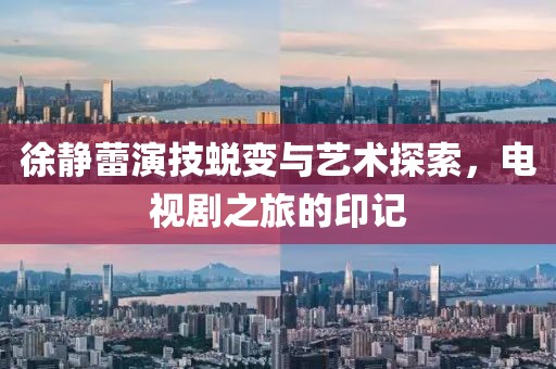 徐靜蕾演技蛻變與藝術(shù)探索，電視劇之旅的印記
