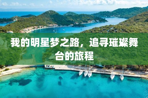 我的明星夢之路，追尋璀璨舞臺的旅程