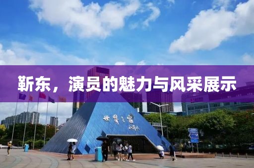 靳東，演員的魅力與風(fēng)采展示