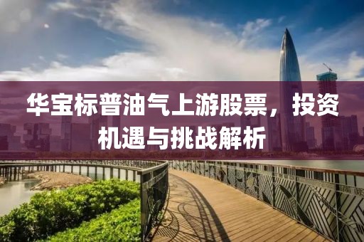華寶標普油氣上游股票，投資機遇與挑戰(zhàn)解析