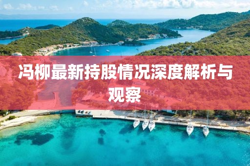馮柳最新持股情況深度解析與觀察