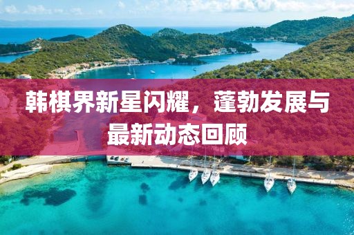 韓棋界新星閃耀，蓬勃發(fā)展與最新動態(tài)回顧