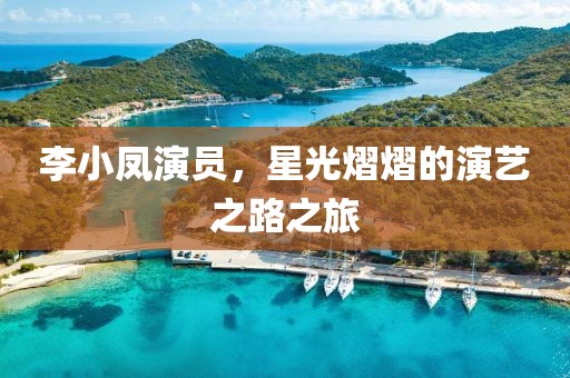 李小鳳演員，星光熠熠的演藝之路之旅