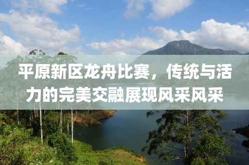 平原新區(qū)龍舟比賽，傳統(tǒng)與活力的完美交融展現(xiàn)風采風采