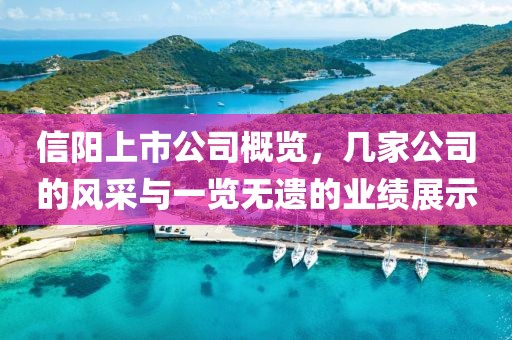 信陽(yáng)上市公司概覽，幾家公司的風(fēng)采與一覽無(wú)遺的業(yè)績(jī)展示