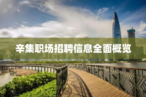 辛集職場招聘信息全面概覽