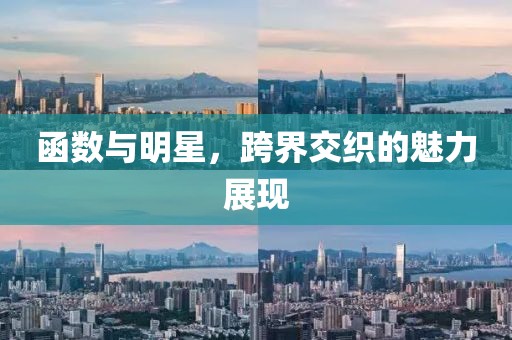 函數(shù)與明星，跨界交織的魅力展現(xiàn)